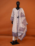 Off-white semi Tussar silk 3-piece suit set with slate grey Kalamkari bird prints